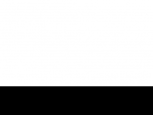 www.prodmar.com.pl